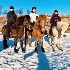 Iceland Viking Horses Riding Morning Tour Adventure