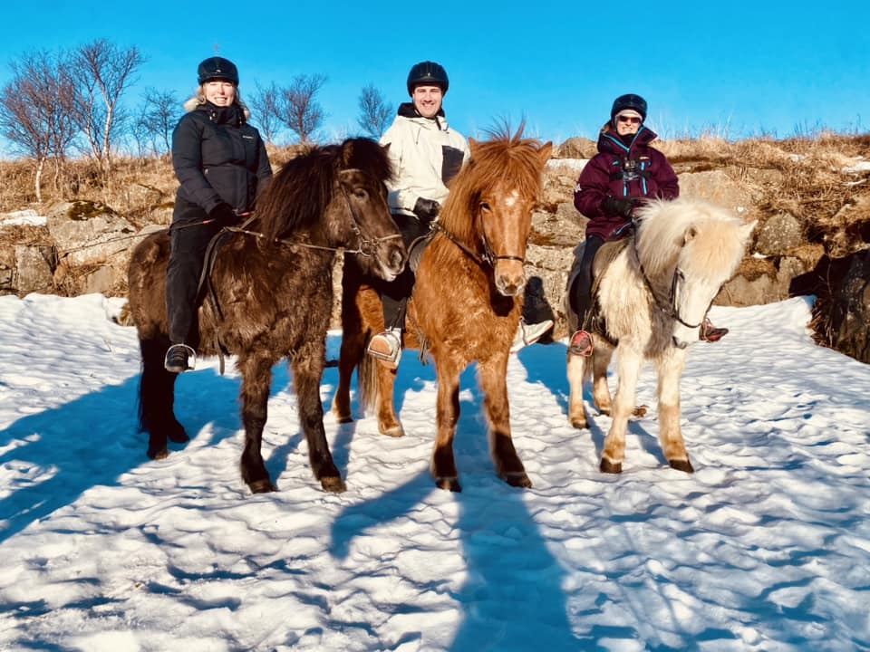 Iceland Viking Horses Riding Morning Tour Adventure