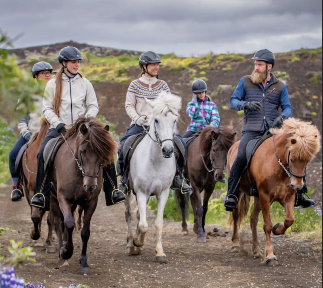 Iceland Viking Horses Riding Sleipnir Evening Tour