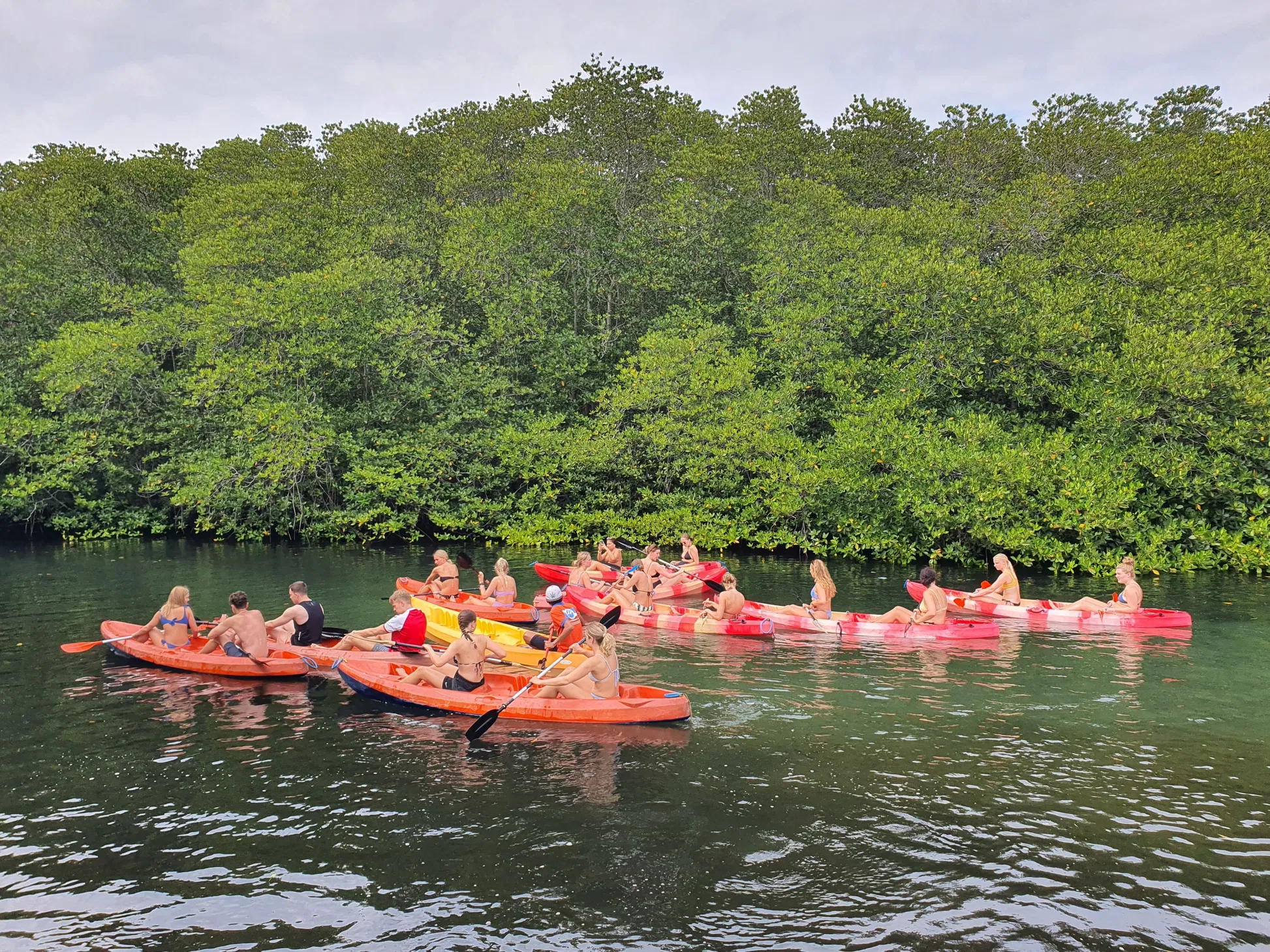 Manta Ray Snorkeling & Mangrove Kayaking Tour From Penida