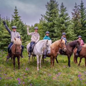 Mjölnir Viking Horses riding Afternoon Tour