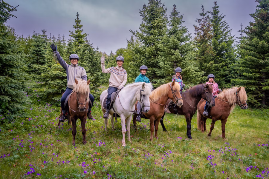Mjölnir Viking Horses riding Afternoon Tour