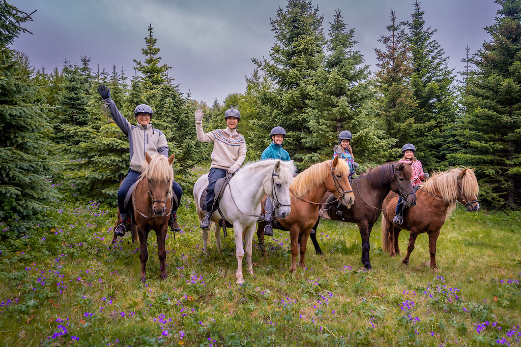 Mjölnir Viking Horses riding Afternoon Tour