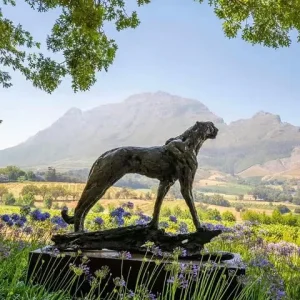 Private Cape Winelands Tour From Cape Town