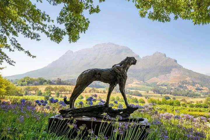 Private Cape Winelands Tour From Cape Town