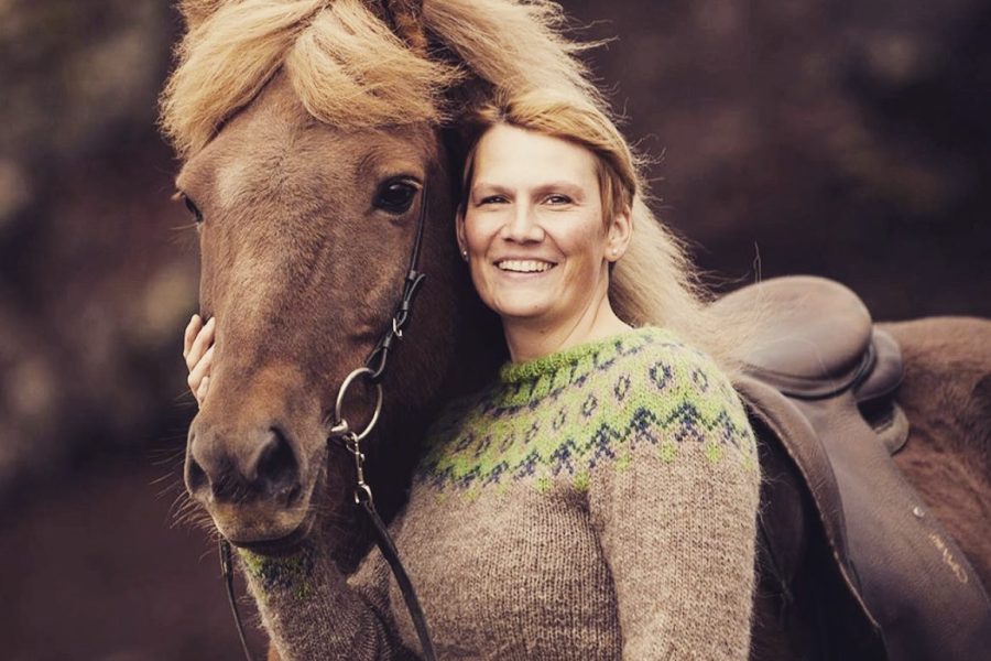 Private Iceland Horse Riding