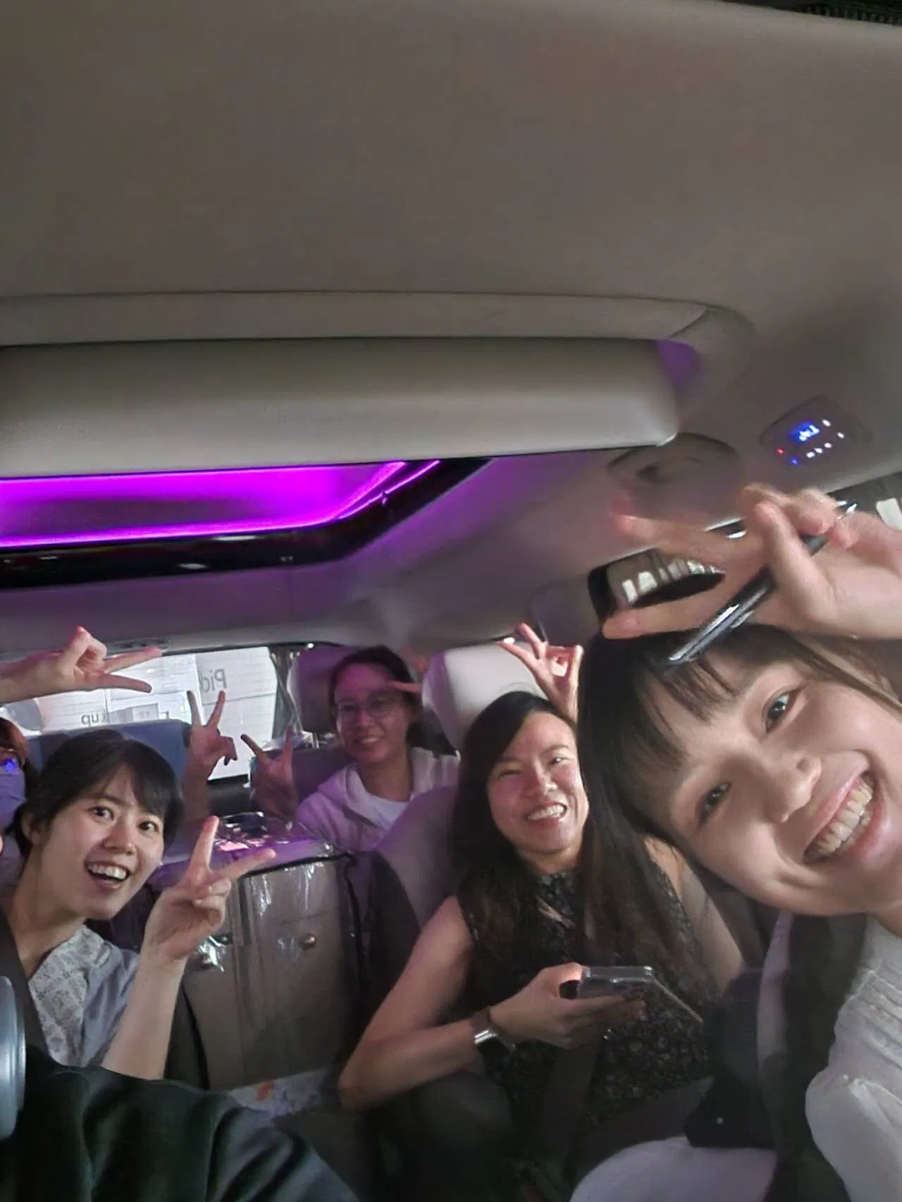 Seoul Private Car With Driver Custom Day with Pickup