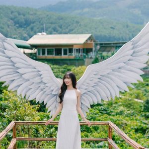 Ultimate Dalat Waterfalls Adventure Tour