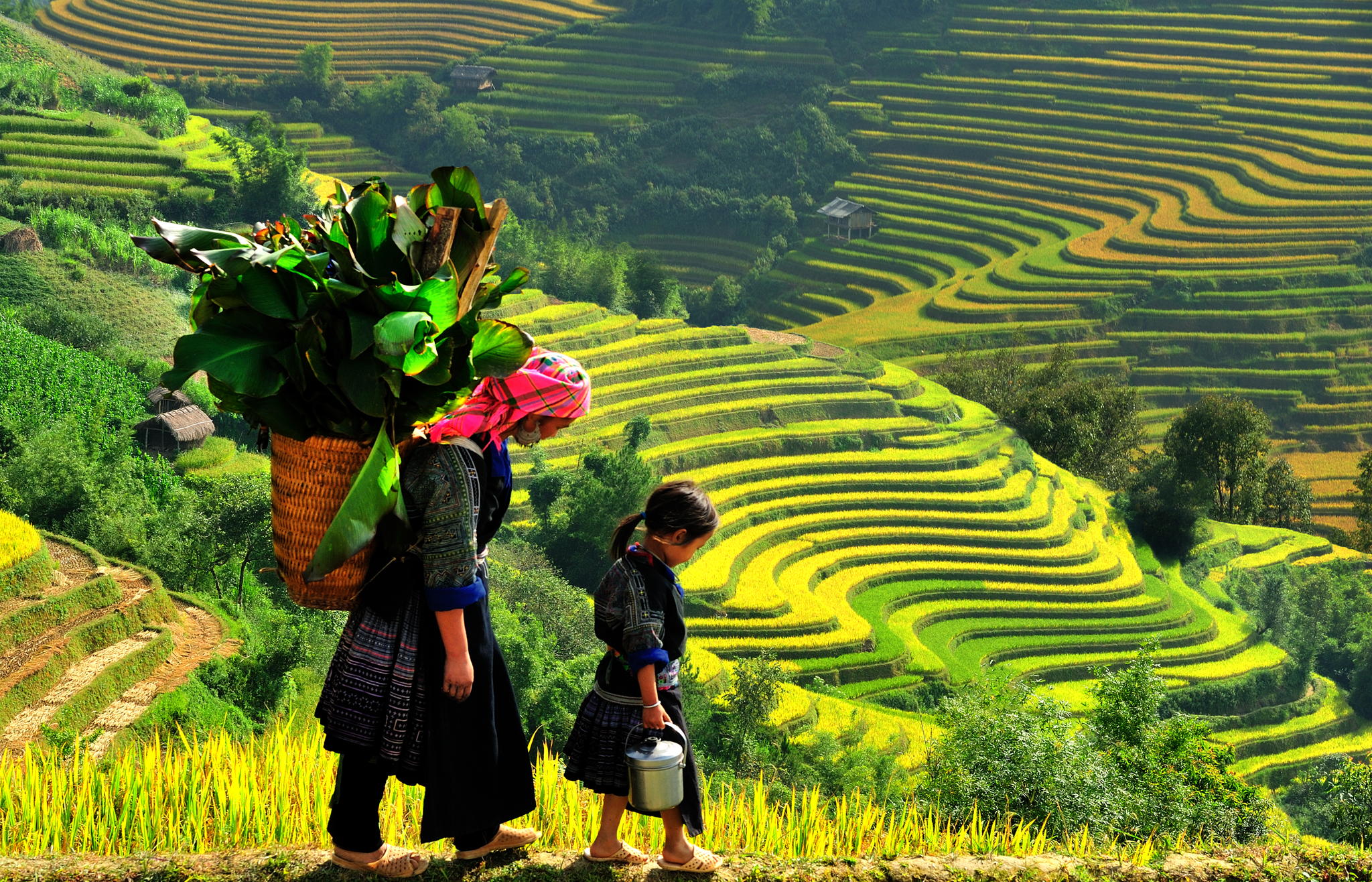 2 Days Hanoi to Sapa Tour by Bus