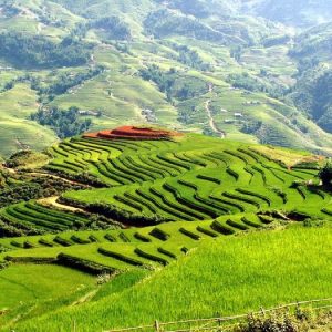 2 Days Sapa Cultural Tour by Bus from Hanoi