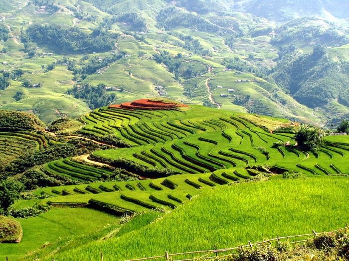 2 Days Sapa Cultural Tour by Bus from Hanoi