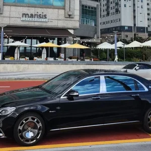 Seoul VIP Private Tour by Mercedes Maybach