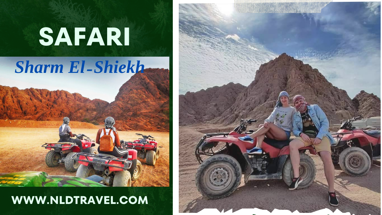 Buggy, Camels, Dinner & show with Stargazing in Sharm EL Sheikh