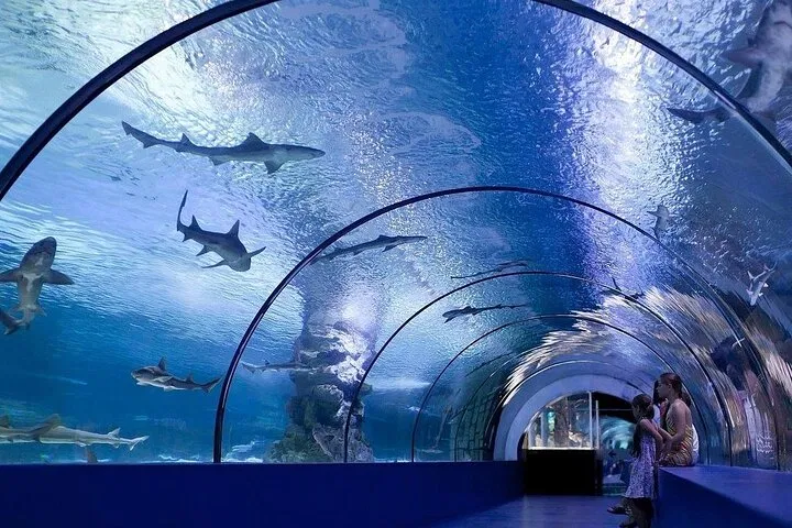 All Inclusive Alanya Aquarium and Fun Park Tour