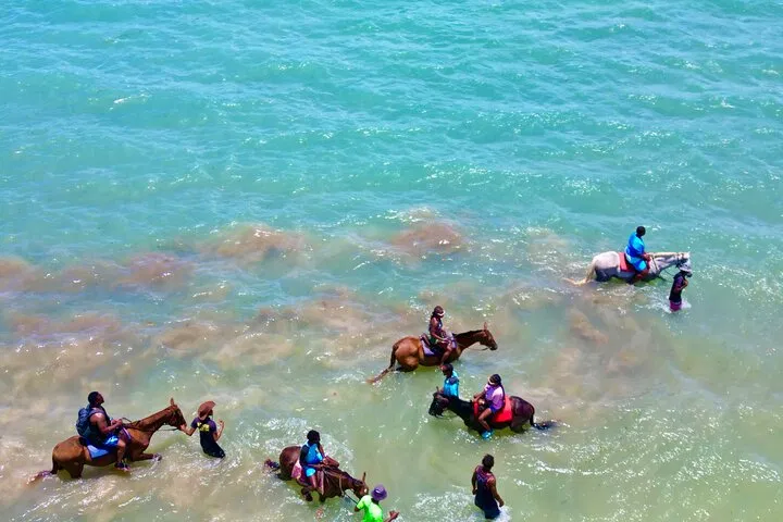 Jamaica Horseback Riding & Ocean Swim Adventure