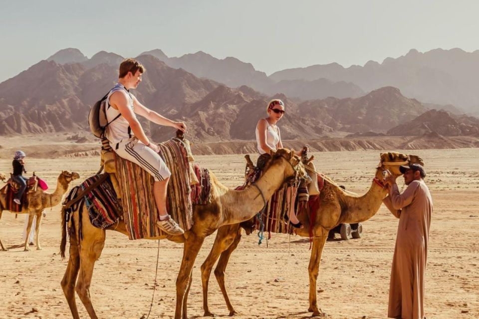Camel Ride-Bedouin Dinner & oriental Show and Stargazing