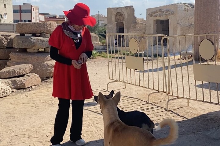 Alexandria Private tour from Cairo-10%to stray animals of Egypt