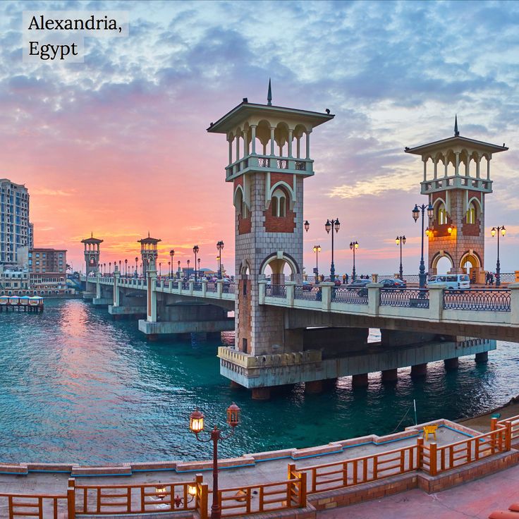 Trip to Alexanderia tour from Alexanderia Port.