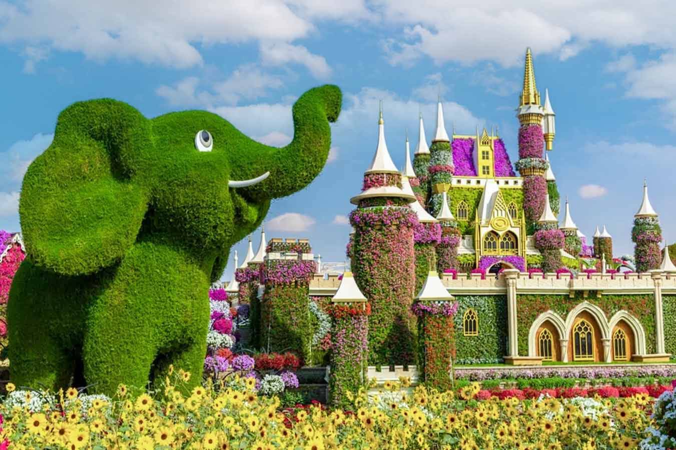 Dubai Miracle Garden tour & Desert Safari with BBQ Dinner