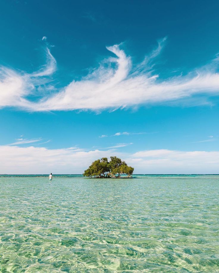 Snorkeling trip to Sharm el Lulli and wadi El Qulaan from Marsa Alam.