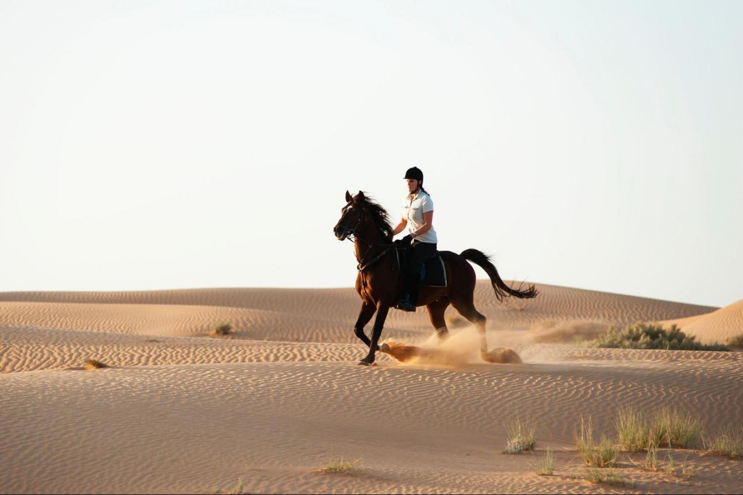 Desert Horse Riding Adventure Tour