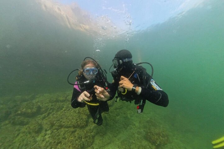 Diving Tour To Discover Old Alexandria From Alexandria