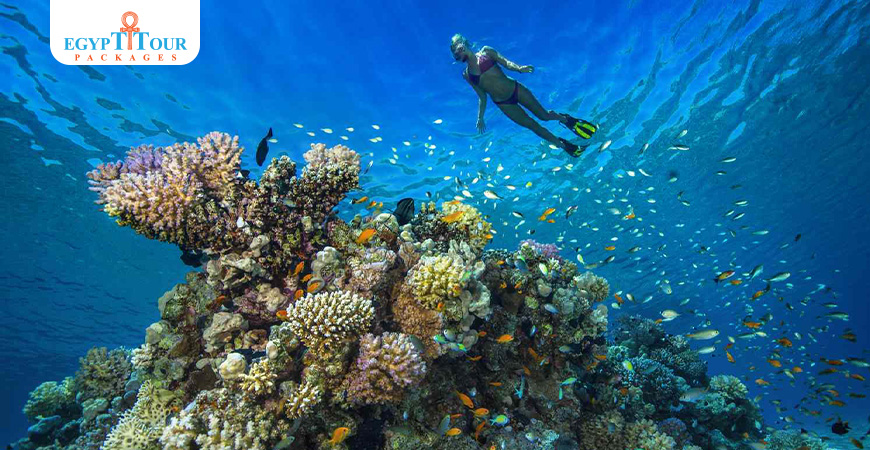 Snorkeling trip to Sharm el Lulli and wadi El Qulaan from Marsa Alam.