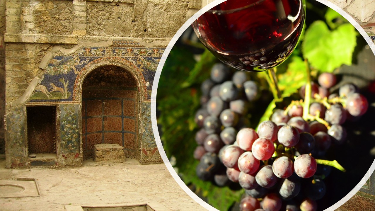 POMPEII & WINE TASTING tour from Naples – Group Tour