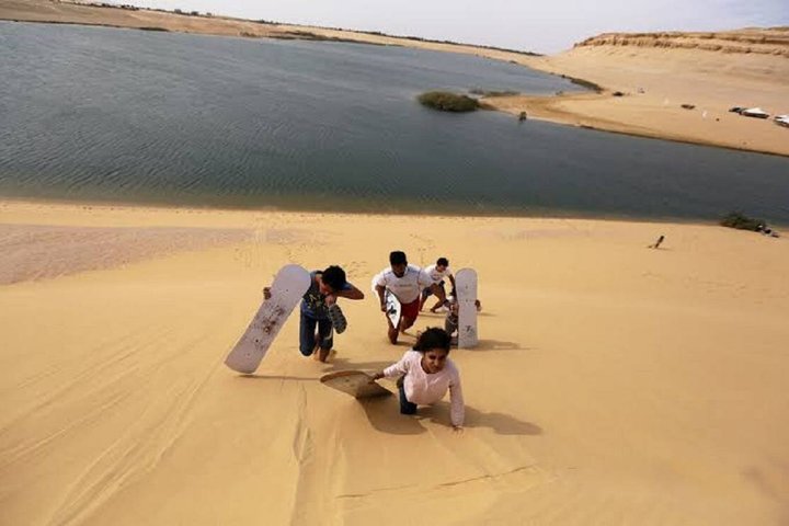 Fayoum Oasis and Wadi El Rayan Waterfalls Tour from Cairo