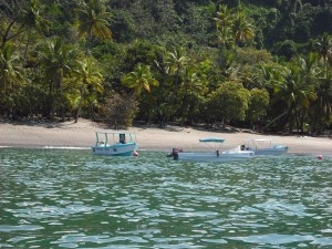 Snorkling Tour at caño island