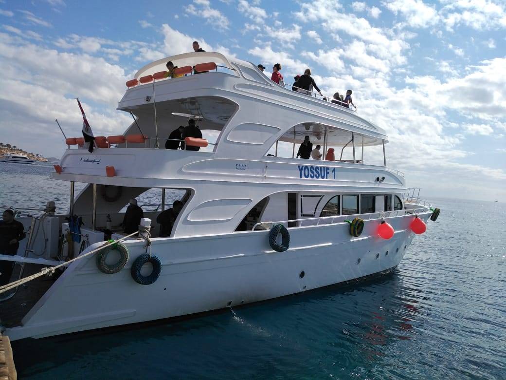 Sataya Dolphin Reef Snorkeling Trip from Port Ghalib.