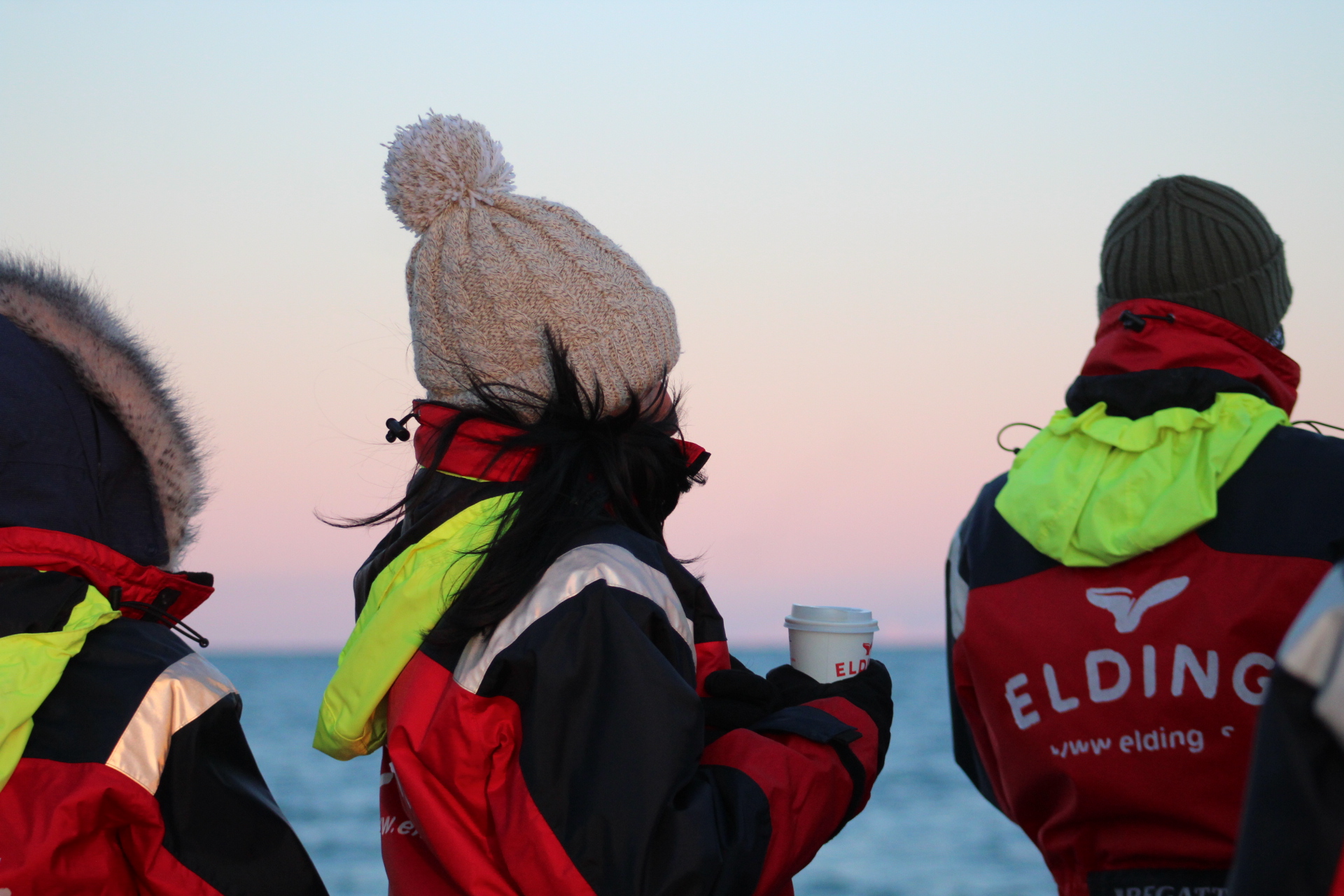 Reykjavík Classic Whale Watching