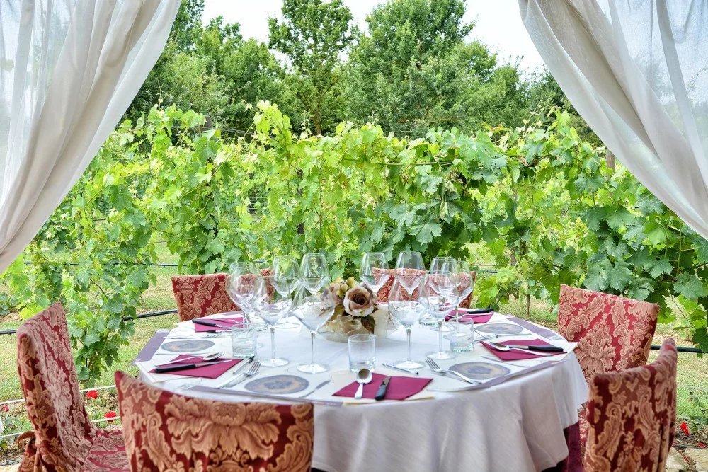 Vineyard Canopy Dinner & Wine Tasting in San Gimignano countryside
