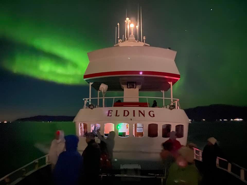 Reykjavík Northern Lights & City Cruise