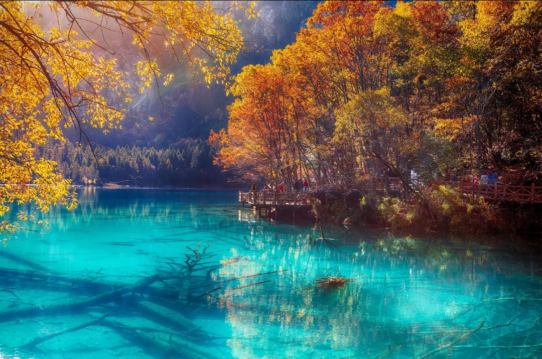 Tickets of Jiuzhaigou Valley Scenic and Historic Interest Area Scenic Spot+Sightseeing Bus+Shuttle Bus (round-trip)