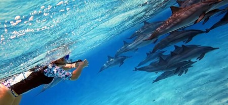 TH Special: Sataya Reef Gradens Snorkeling Day Trip