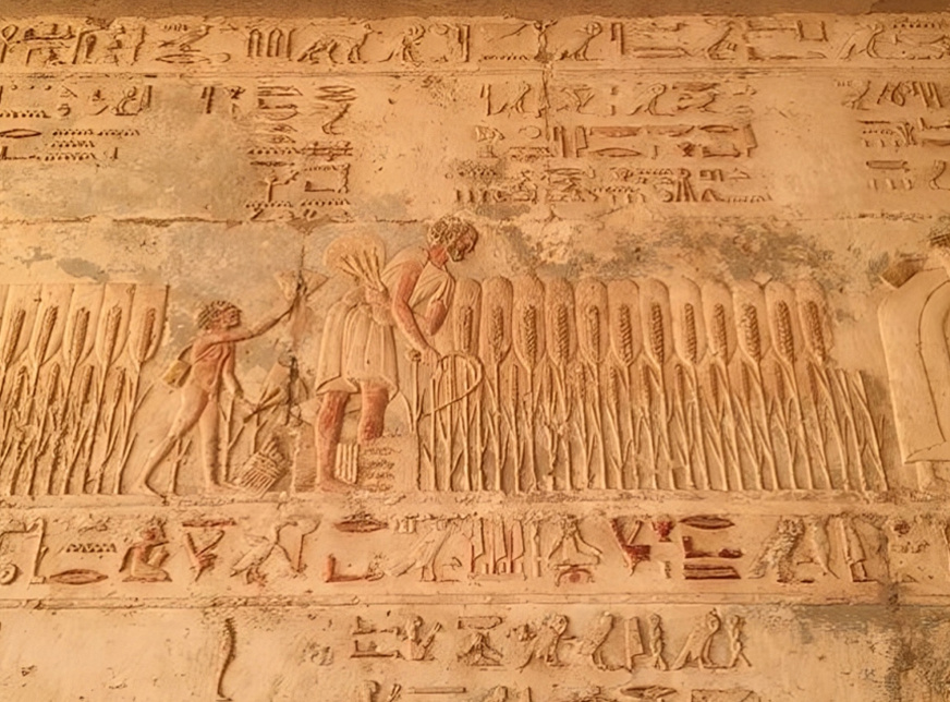 2 Day Trip to Al Minya From Cairo.