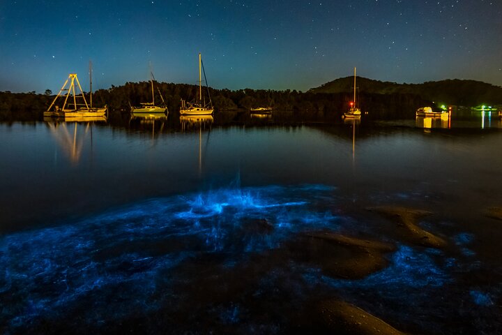 Auckland Bioluminescence Kayak Tour – Waiake Beach