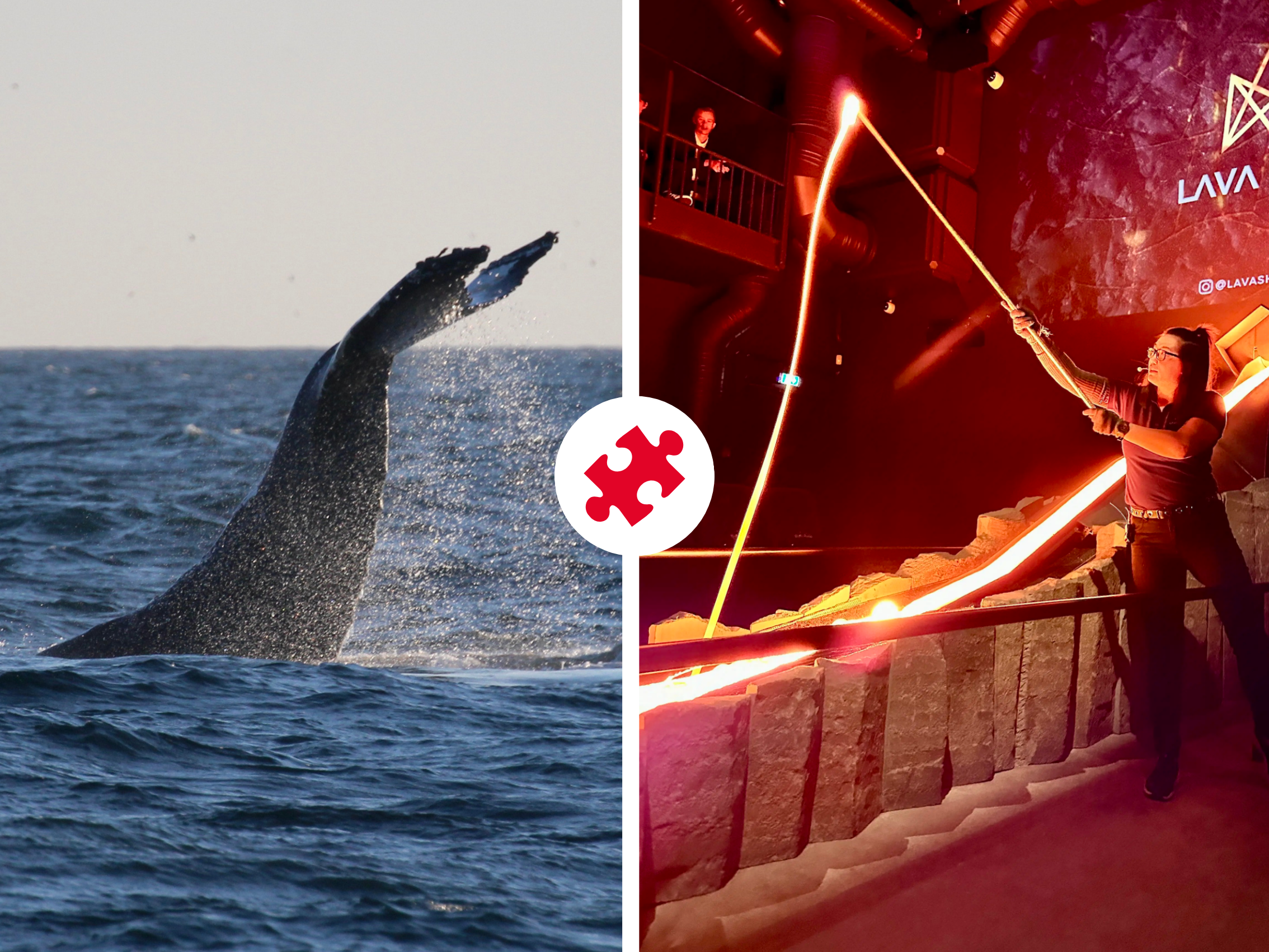 Whales & Lava Show