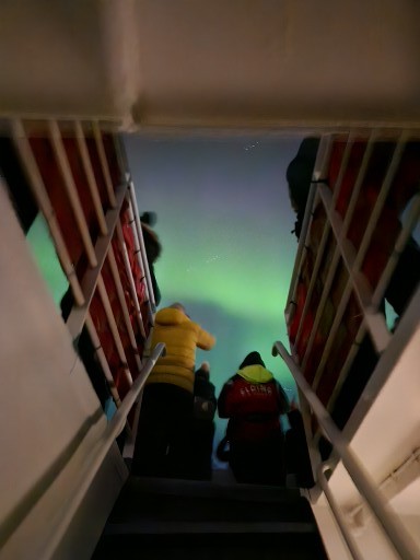 Reykjavík Whales & Northern Lights