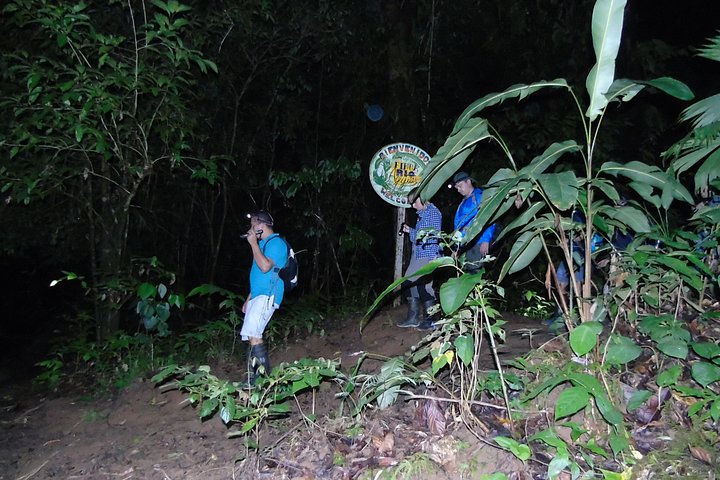 NativosCorcovado Night Hike