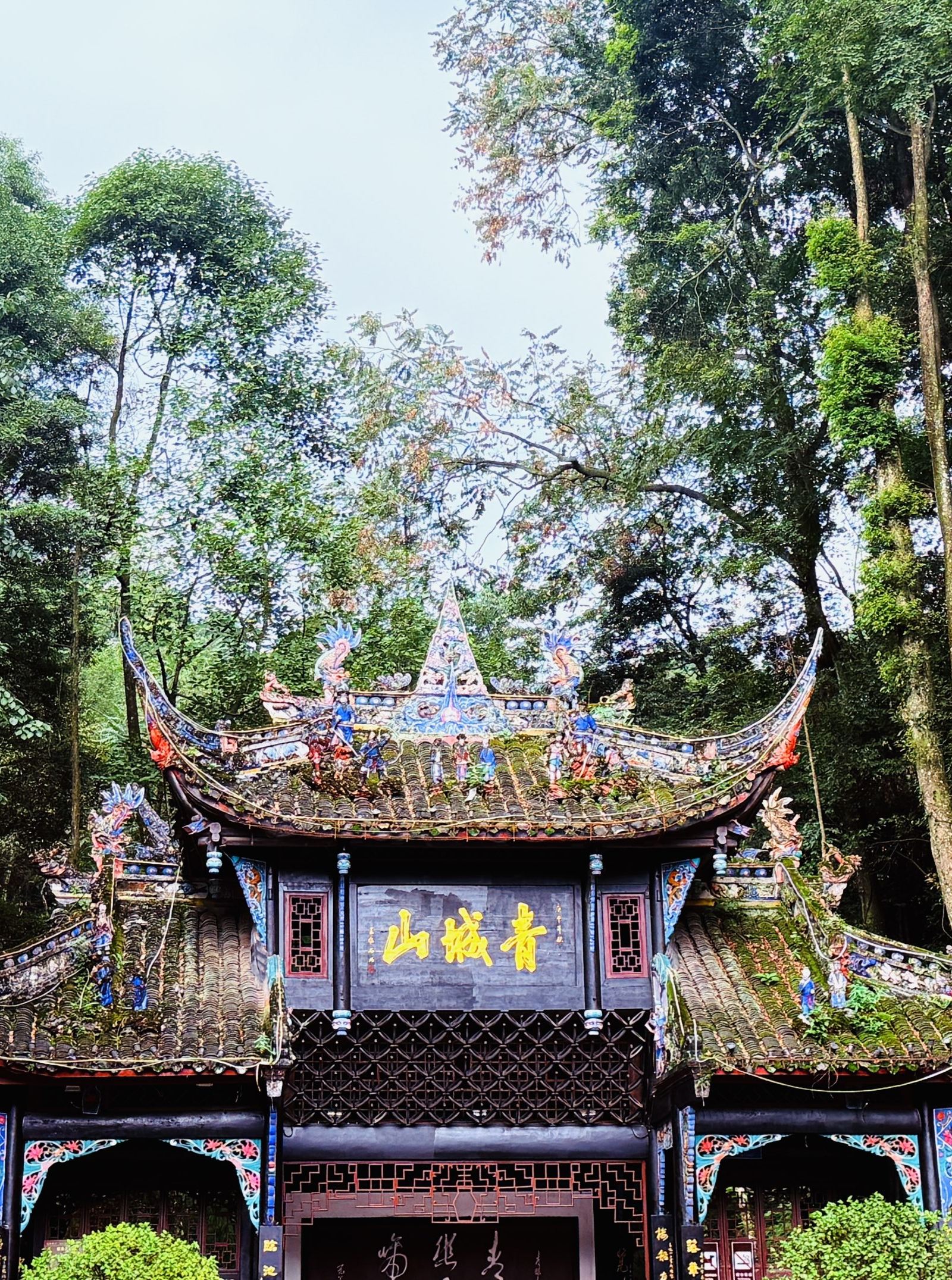 Chengdu Qingcheng Mountain (Front Mountain) Admission Ticket