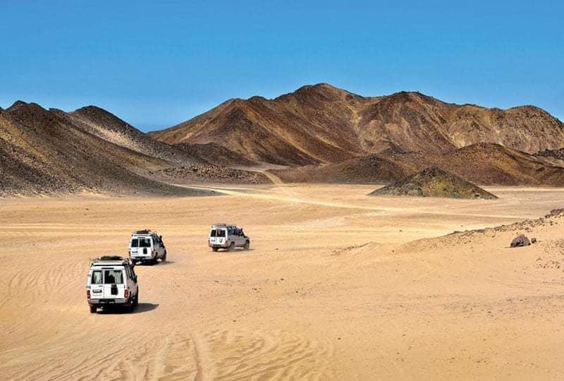 Shore Excursions: Adrenaline Rush Desert Adventure from Safaga