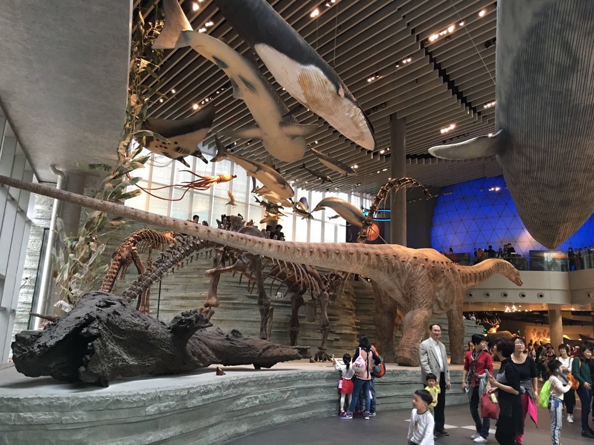 Shanghai Natural History Museum entry ticket