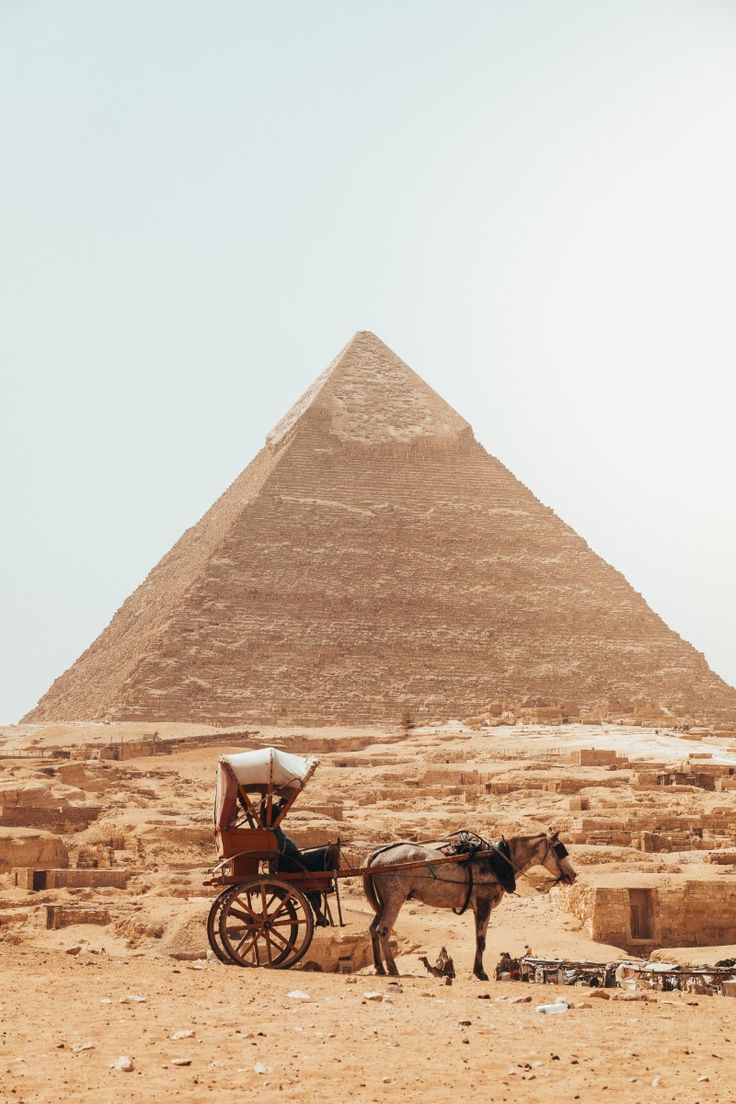 Tour to Giza Pyramids and the Egyptian Museum.