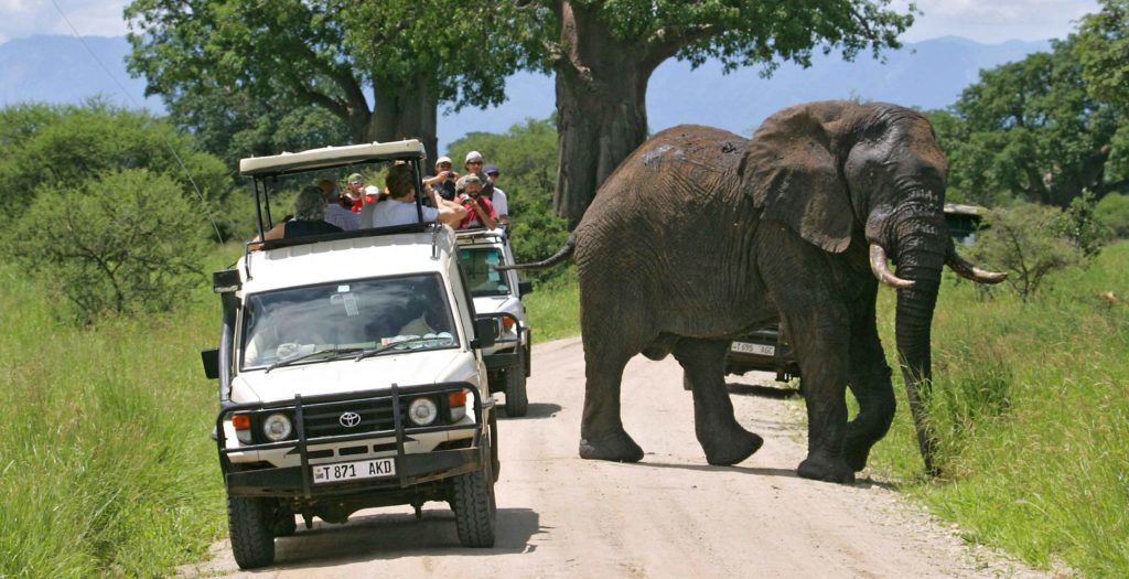 2-Day Tanzania Safari | Tarangire & Ngorongoro Big Five Experience