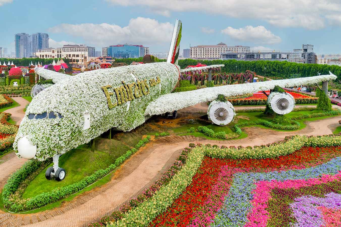 Dubai Miracle Garden & Global Village visit with Private Transfers