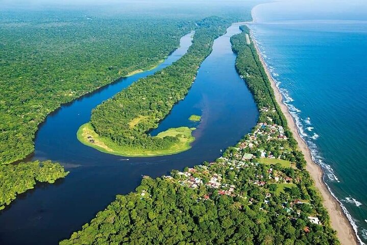Tortuguero One Day Private Tour from San Jose