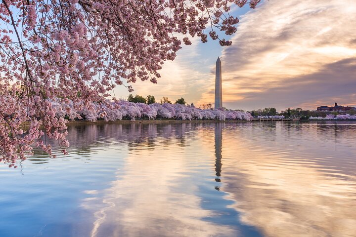 Washington D.C Scavenger Hunt & Highlights Self Guided Audio Tour