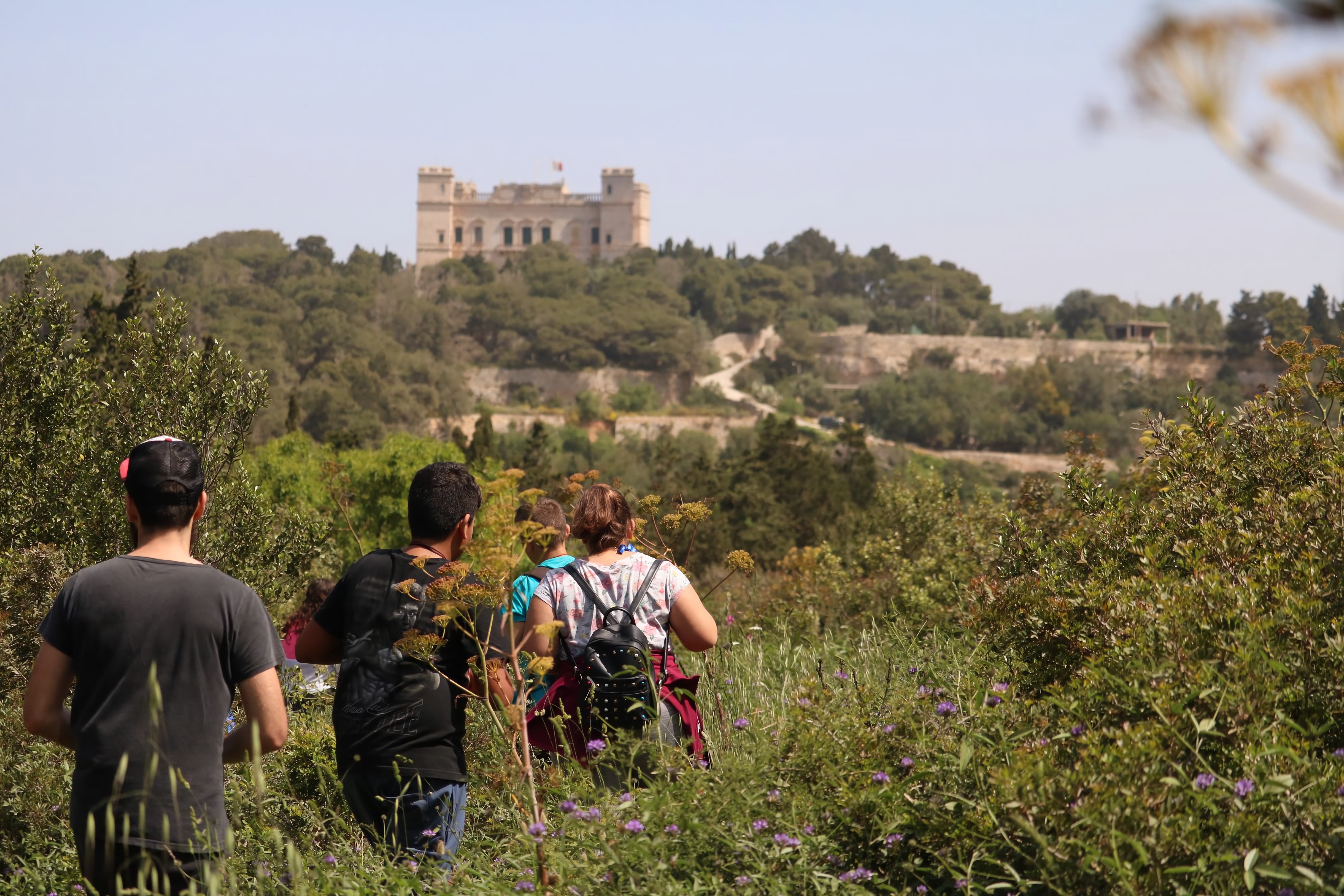 Buskett Woodlands & Dingli Cliffs Nature Walking Tour (Private Tour)